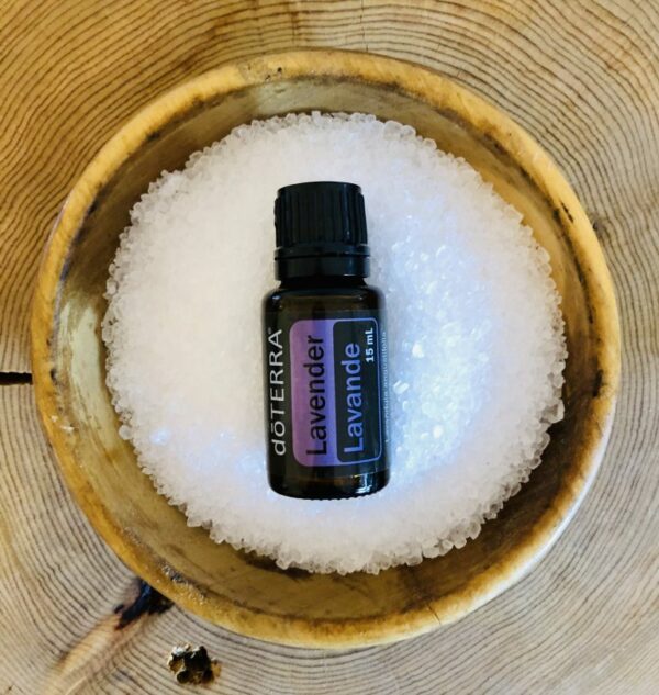 Lavender – Lavandula angustifolia