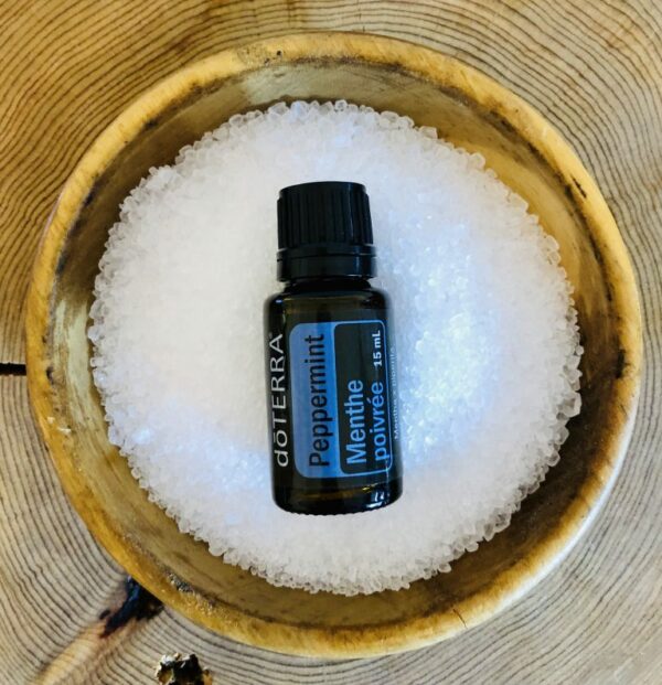 Peppermint – Mentha Piperita near me