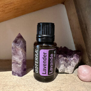 Lavender – Lavandula angustifolia