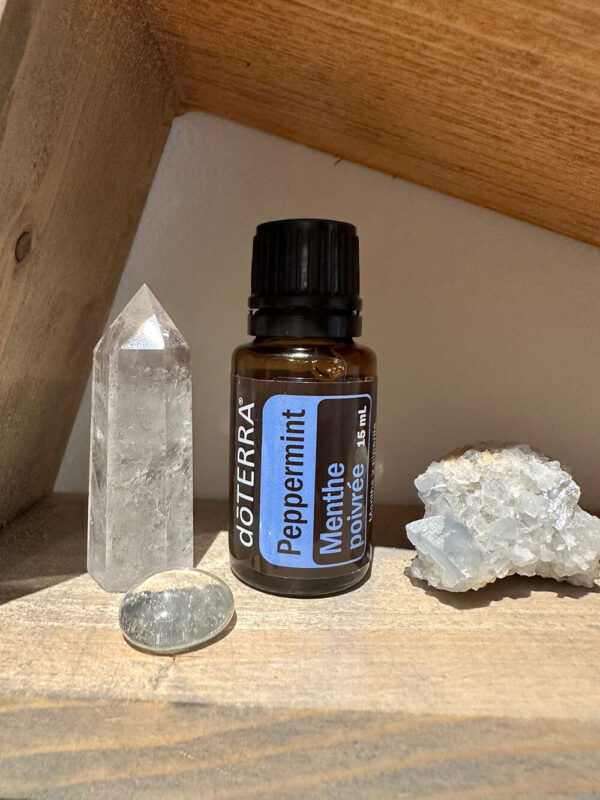 Peppermint – Mentha Piperita