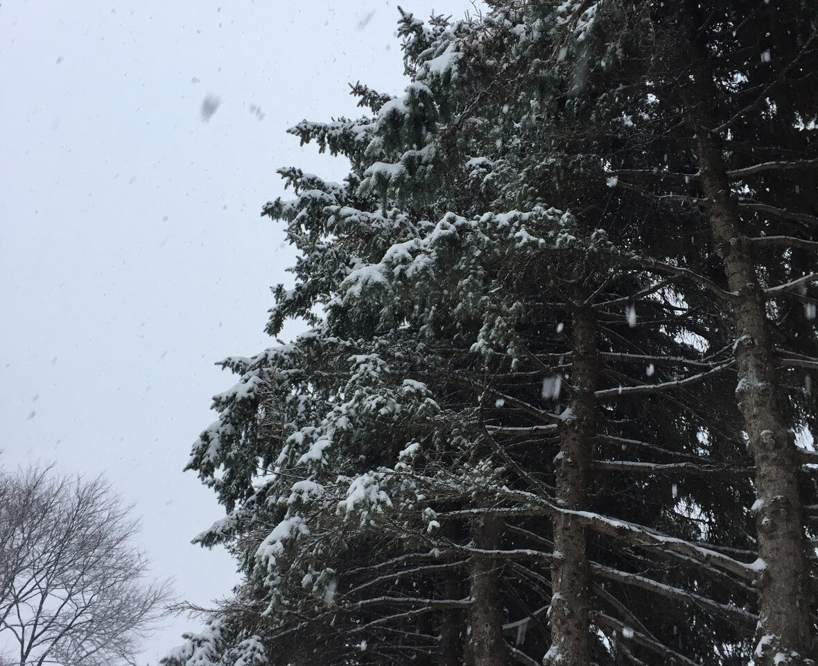 Hello Winter 2022 + We are Moving