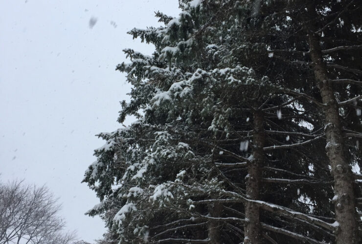Hello Winter 2022 + We are Moving