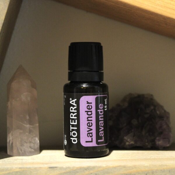 Lavender – Lavandula Angustifolia