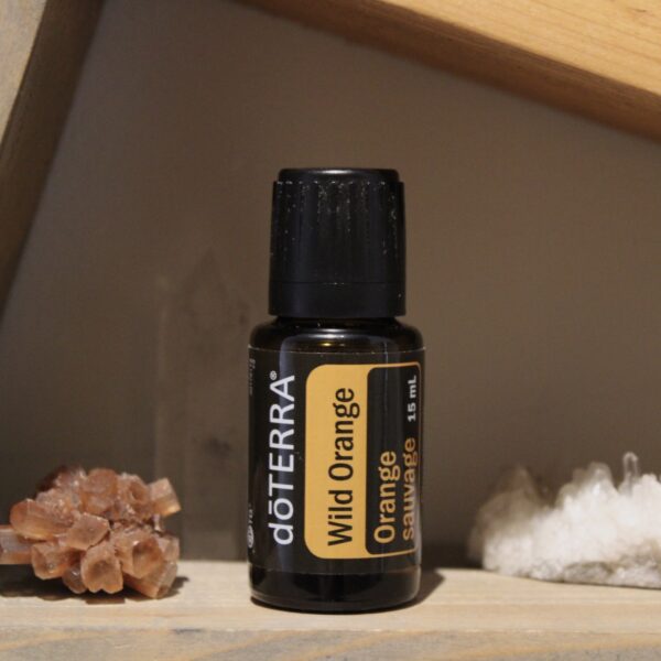Wild Orange – Citrus Sinensis
