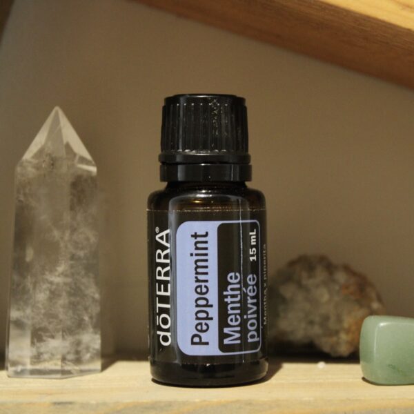 Peppermint – Mentha Piperita