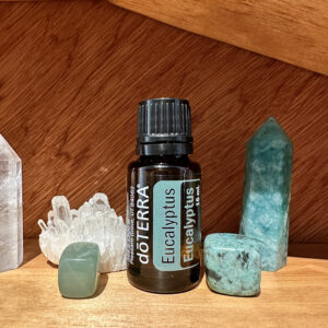 Eucalyptus - Eucalyptus Radiate