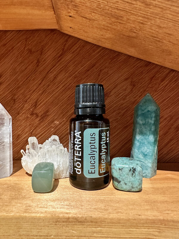 Eucalyptus - Eucalyptus Radiate