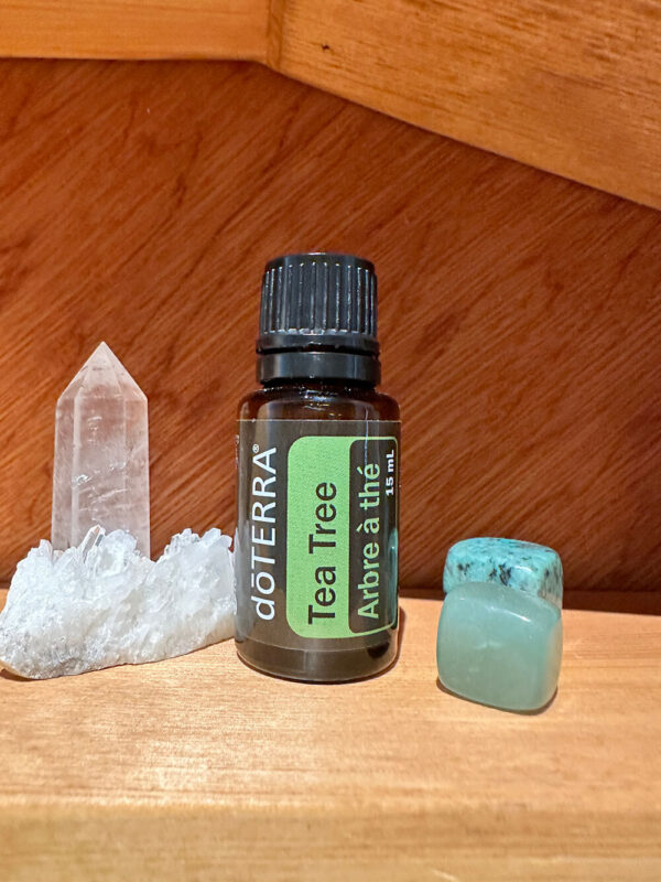 Tea Tree - Melaleuca Alternifolia